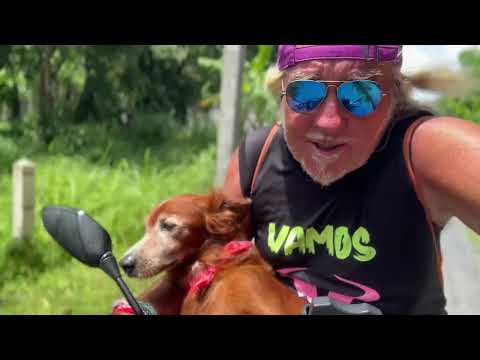Tarzán · Camino al entreno en moto